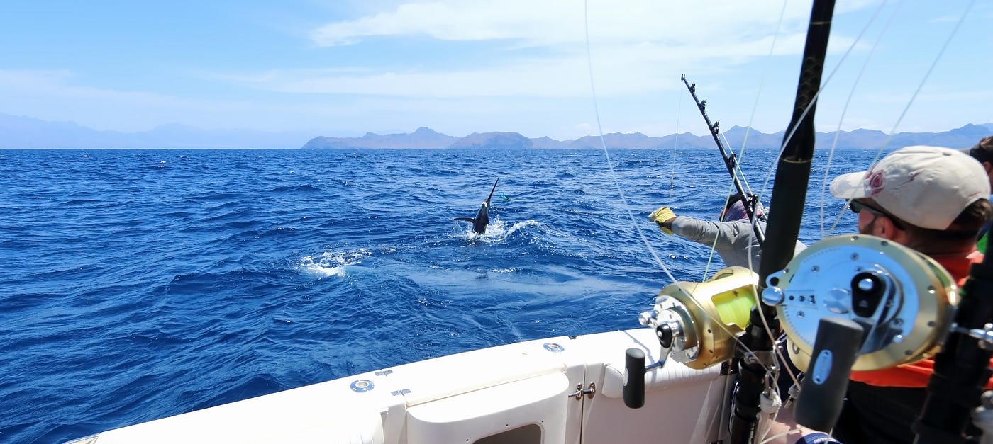 20-sport-fishing-facts