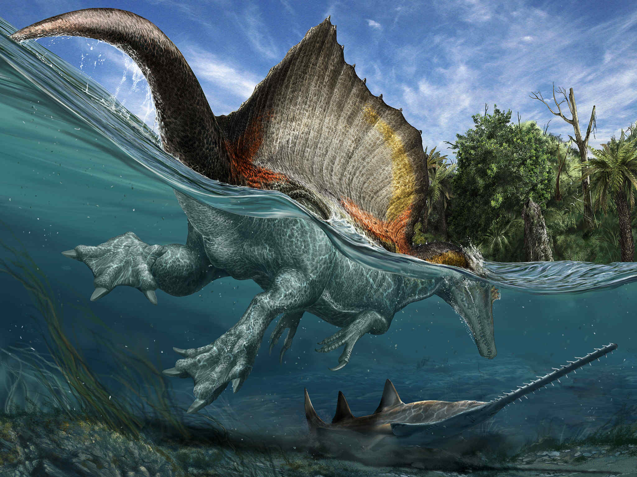 24 Amazing Spinosaurus Facts Facts