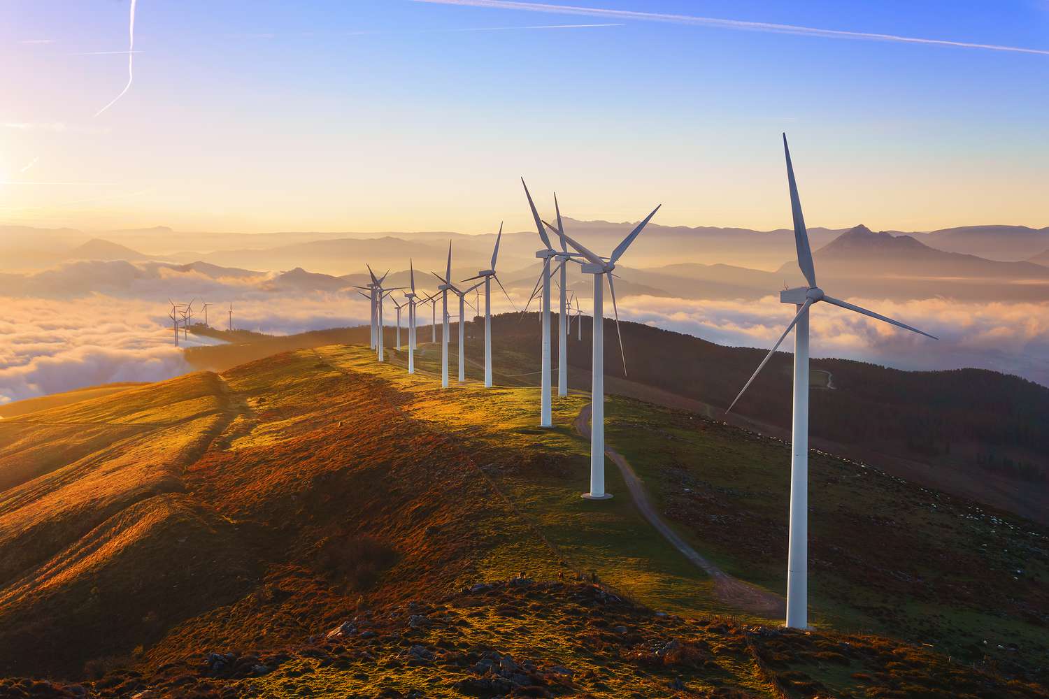 24-best-wind-turbine-facts