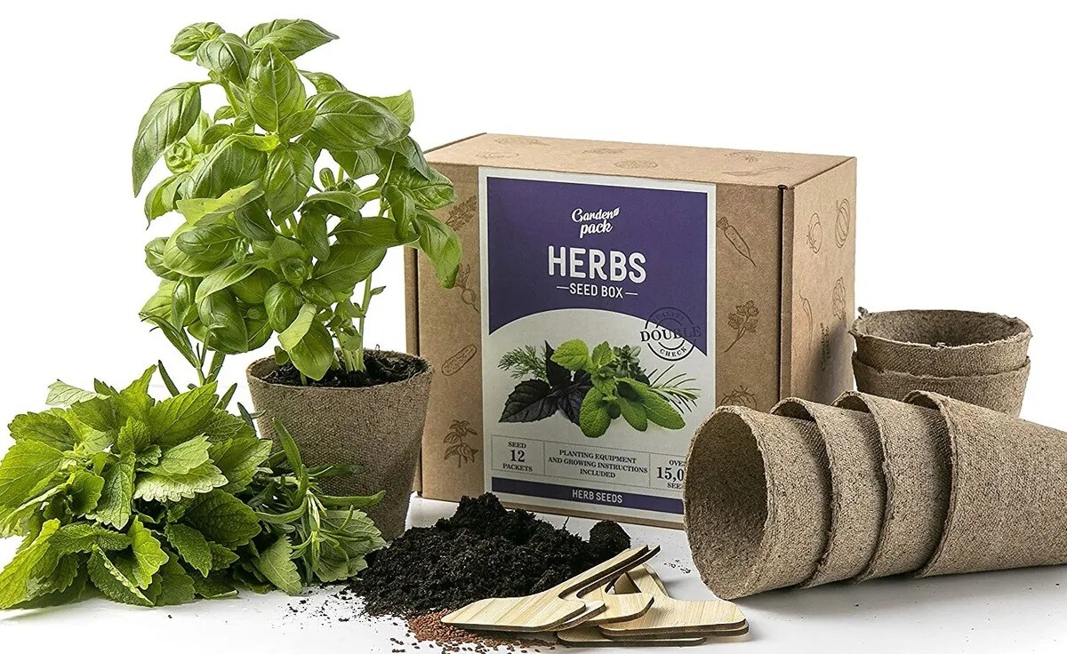 6-best-indoor-herb-garden-kit