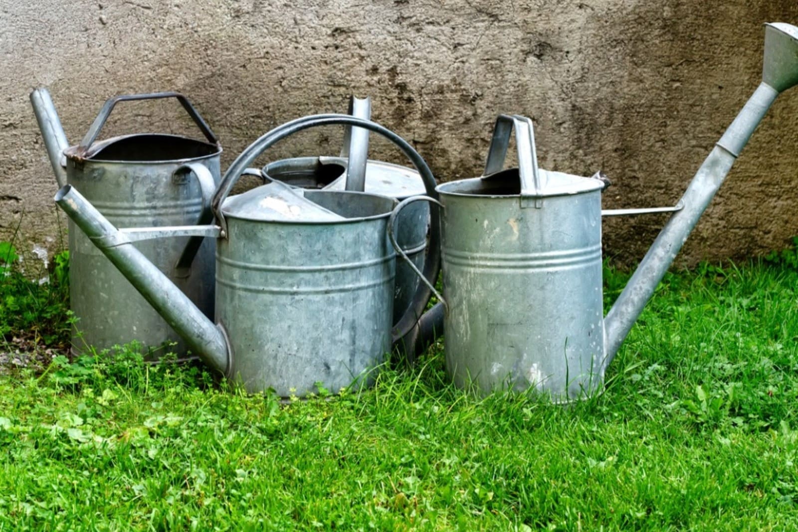 8-best-watering-cans