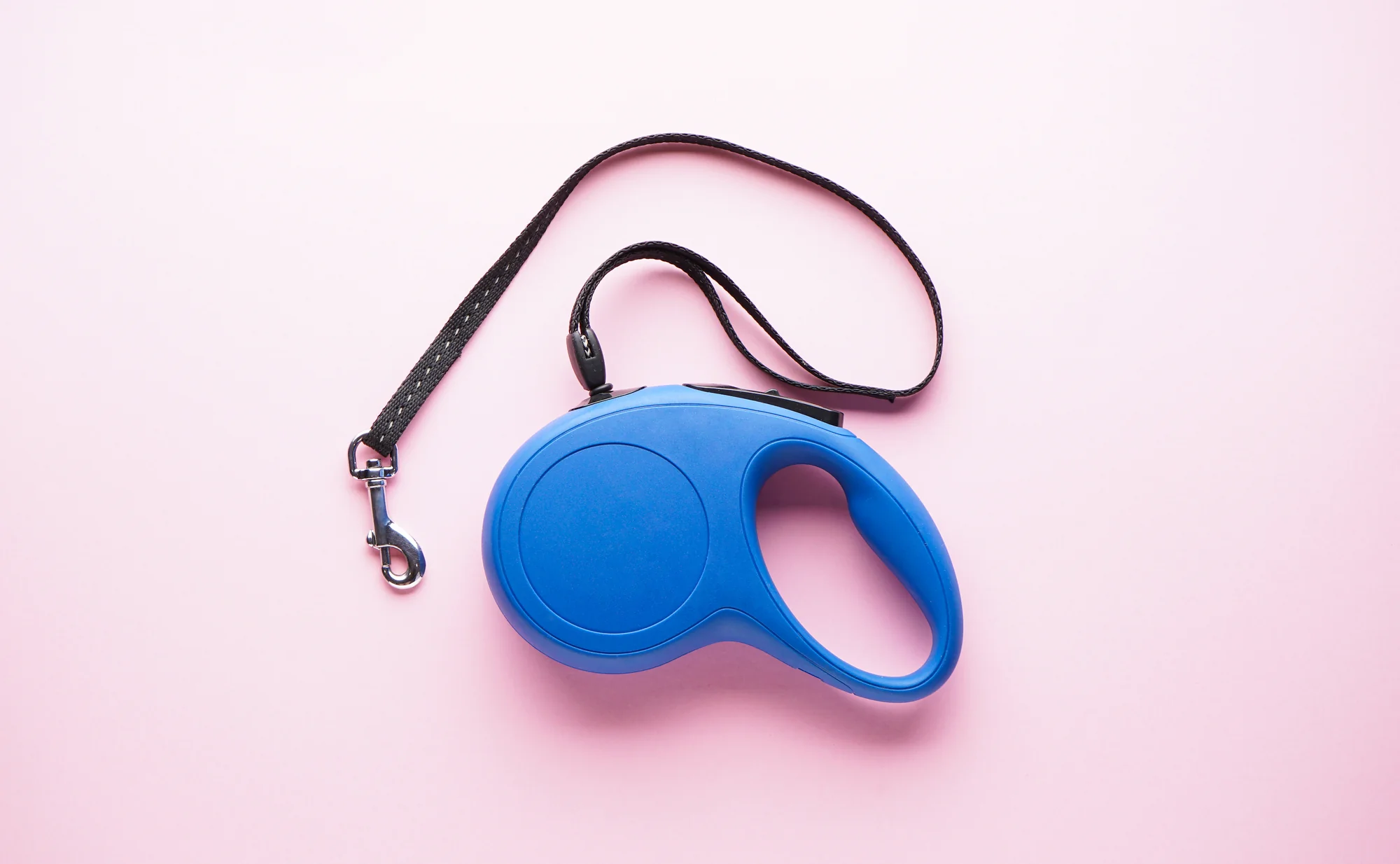 Flexi Style Soft Grip Retractable Leash up to 16 Feet Tape (medium) for  sale online
