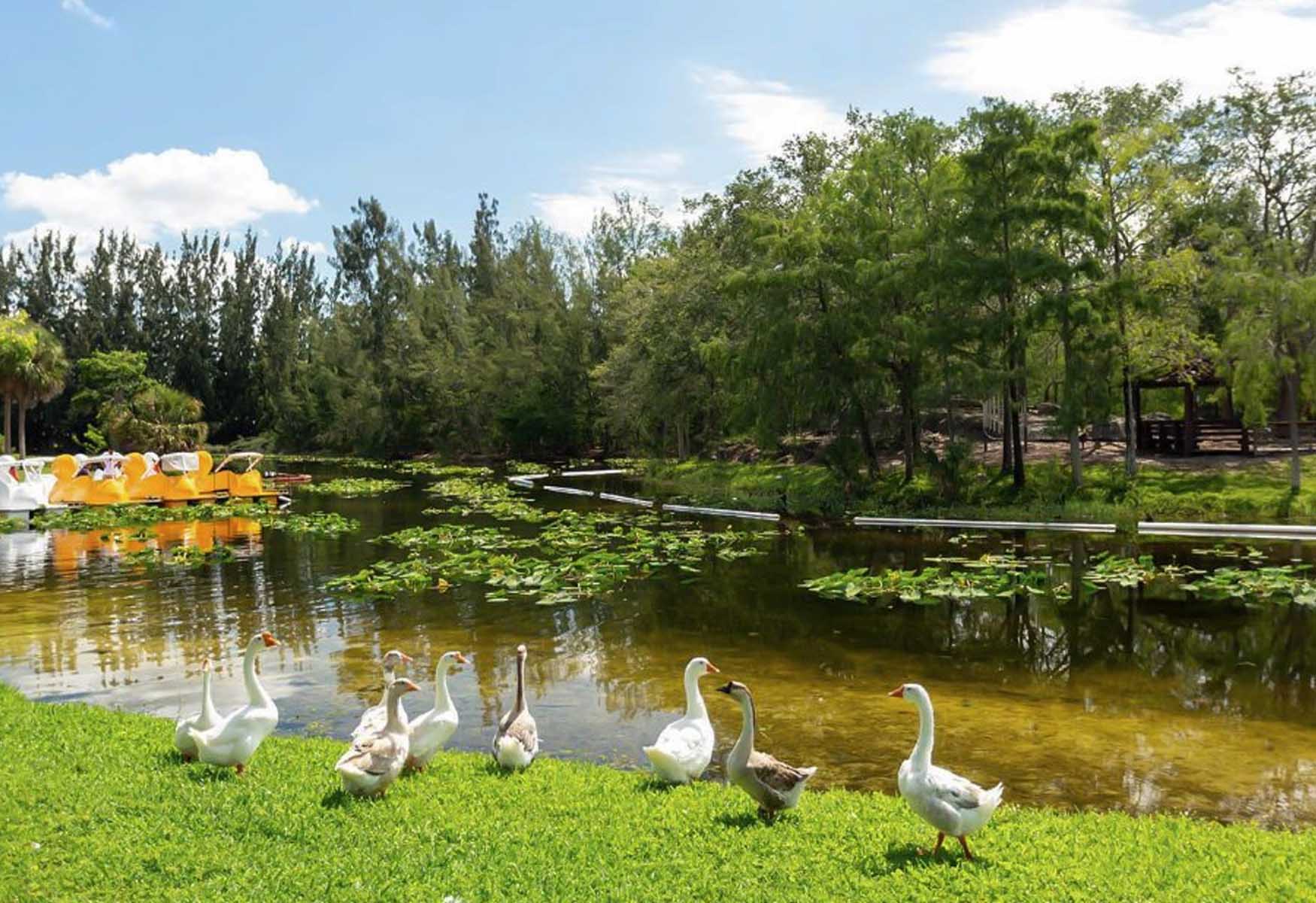 9-facts-about-local-wildlife-and-natural-reserves-in-hialeah-florida
