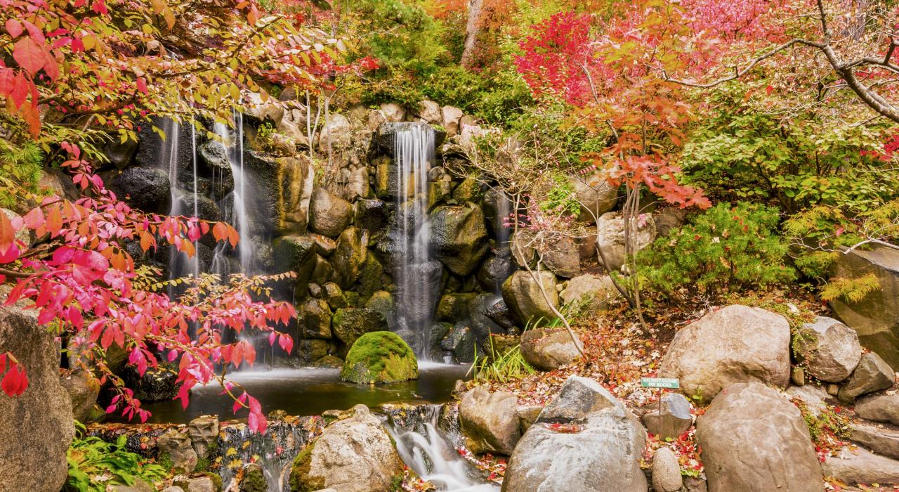 9 Facts About Local Wildlife And Natural Reserves In Rockford, Illinois