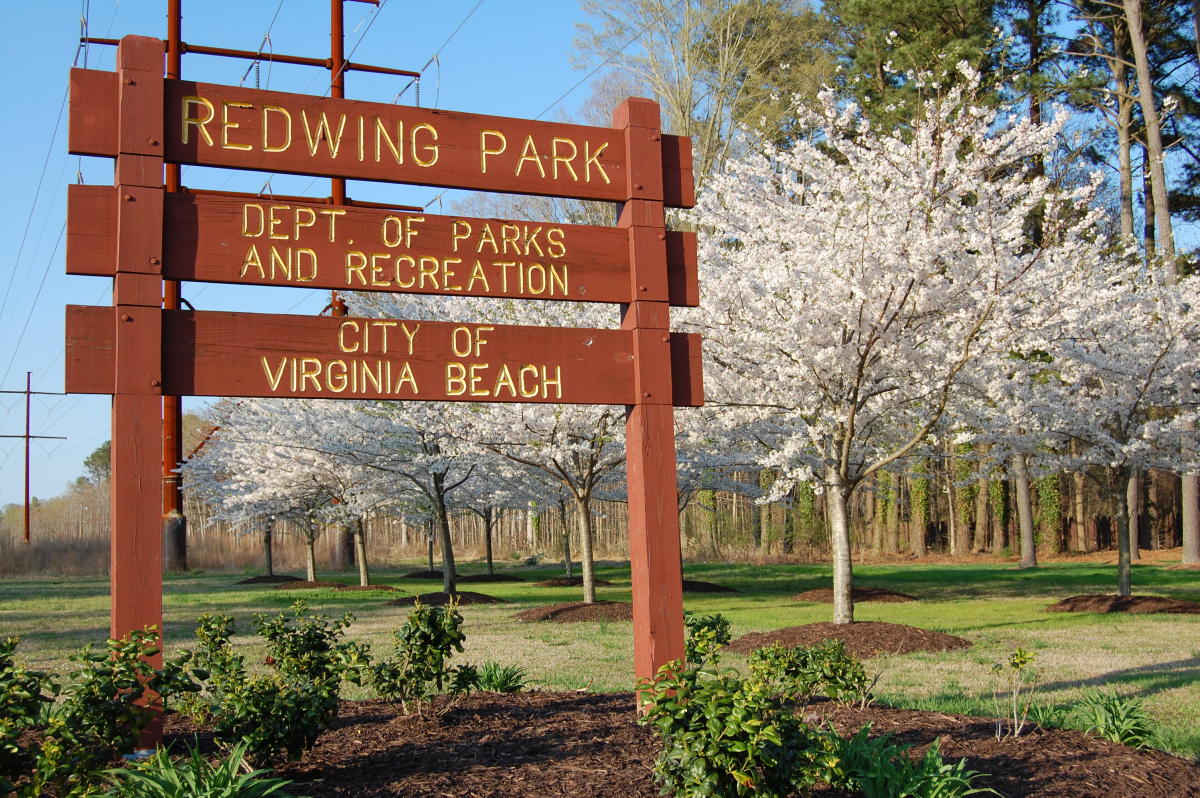 9-facts-about-local-wildlife-and-natural-reserves-in-virginia-beach-virginia