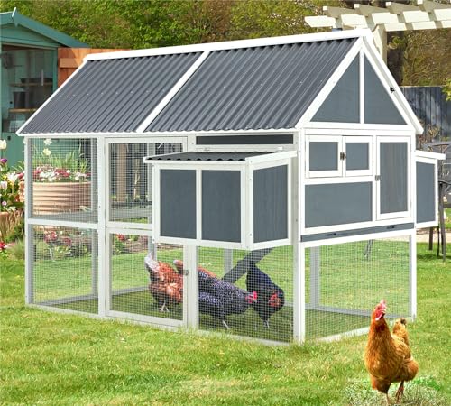 10 Best Chicken Coops - Facts.net