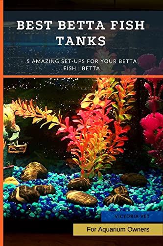 10 Best Betta Fish Tanks - Facts.net