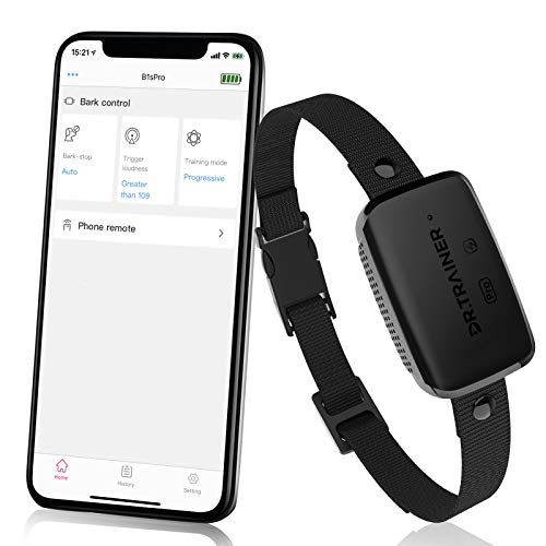 9 Best Dog Bark Collars