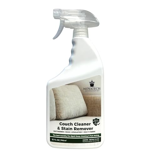 8 Best Upholstery Cleaners