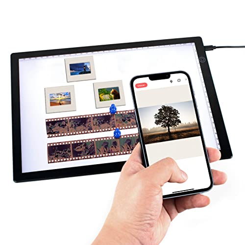 7 Best Slide Scanner