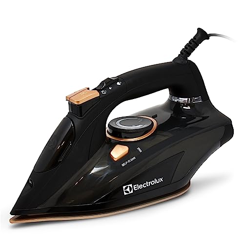 10 Best Steam Iron - Facts.net