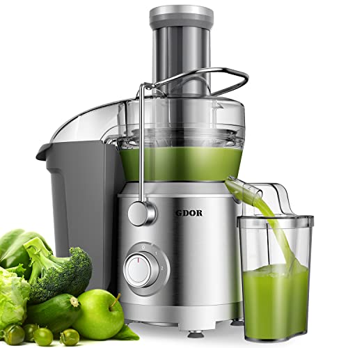 6 The Best Juicer