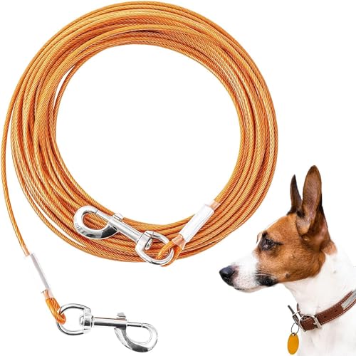 8 Best Everyday Dog Leash