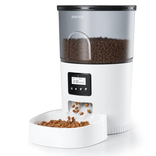 8 Best Automatic Feeder For Cats And Small Dogs