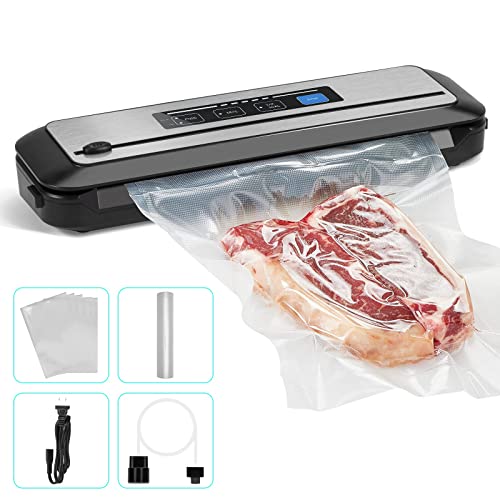 10 Best Vacuum Sealer