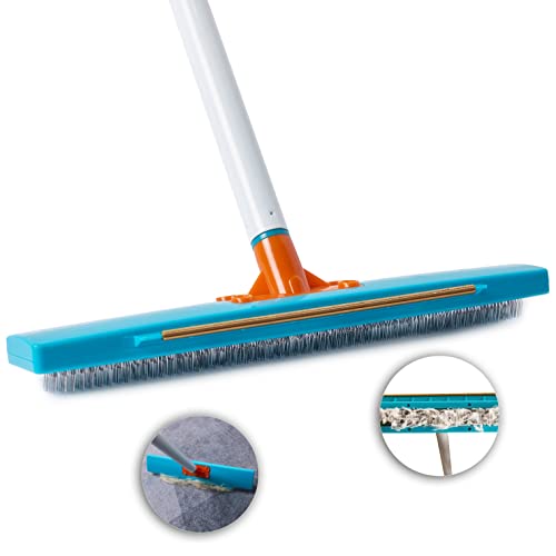 9 Best Carpet Rake