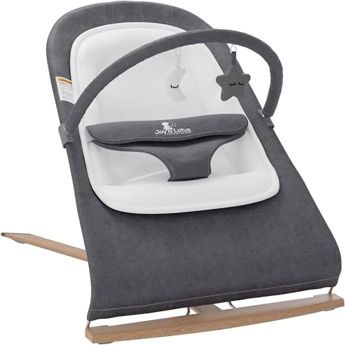 10 Best Baby Bouncers And Rockers