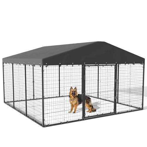 7 Best Outdoor Dog Kennels