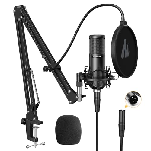 9 Best Condenser Microphone - Facts.net