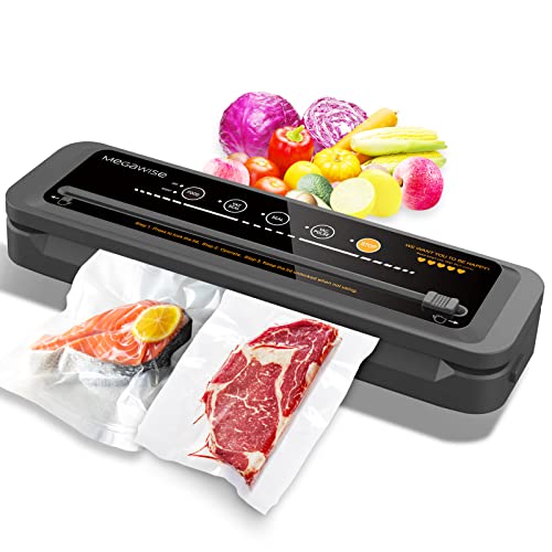 10 Best Vacuum Sealer