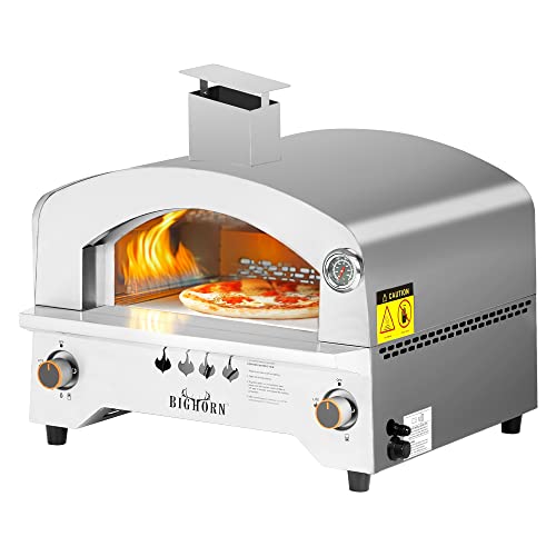 6 Best Pizza Oven