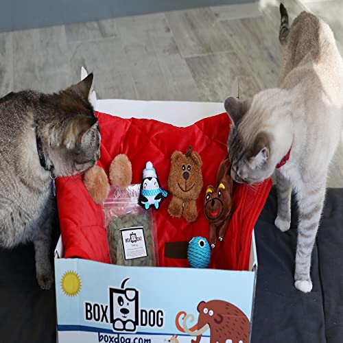 8 Best Pet Subscription Boxes