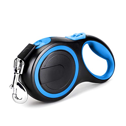 9 Best Retractable Leash