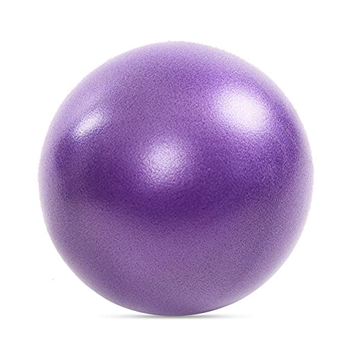 9 Best Exercise Ball - Facts.net