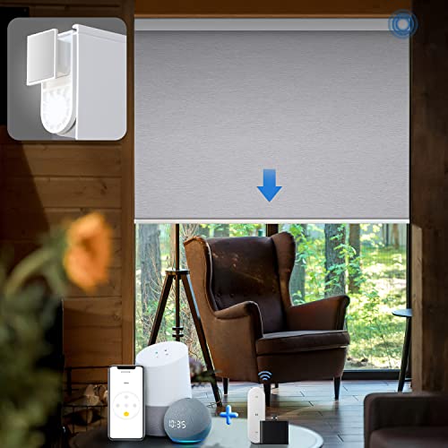 8 Best Smart Blinds