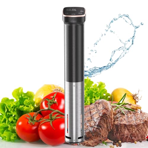 6 Best Sous Vide 