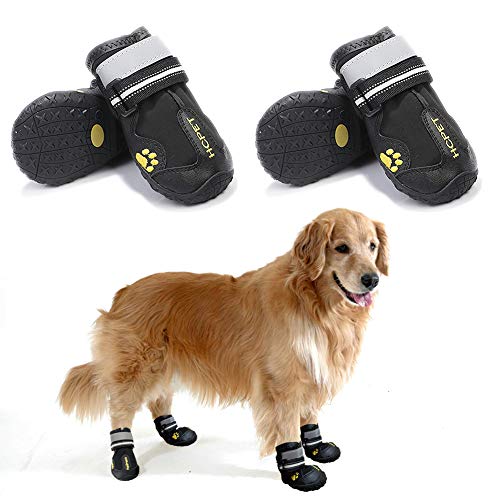 8 Best Dog Boots