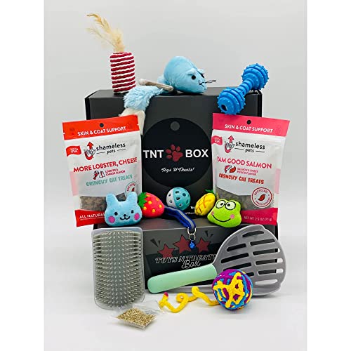 8 Best Pet Subscription Boxes
