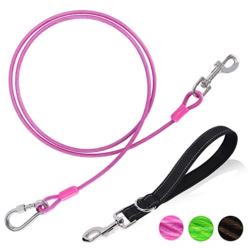 8 Best Everyday Dog Leash