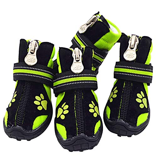 8 Best Dog Boots