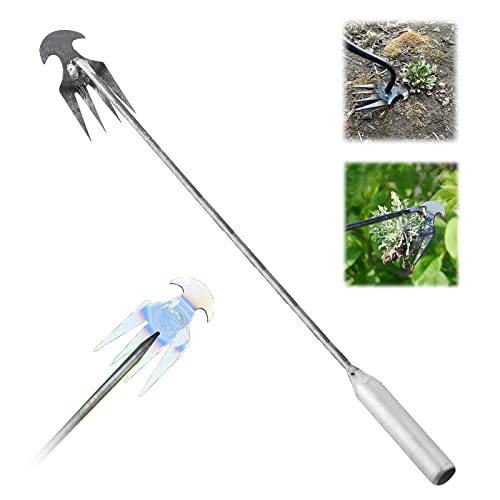 8 Best Weeding Tools Facts Net   Weeding Tool With Long Handle 41ZQE7dXQKL 