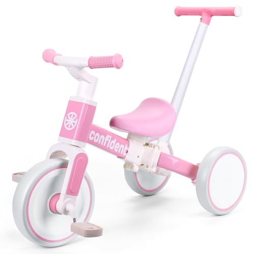9 Best Tricycles