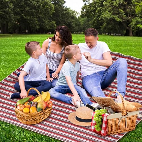 9 Best Picnic Blanket