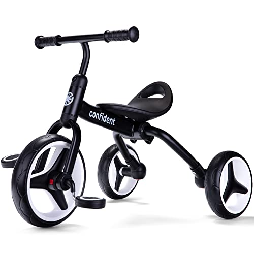 9 Best Tricycles