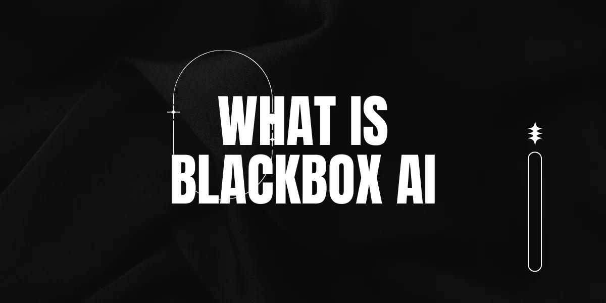 10-facts-about-blackbox-ai