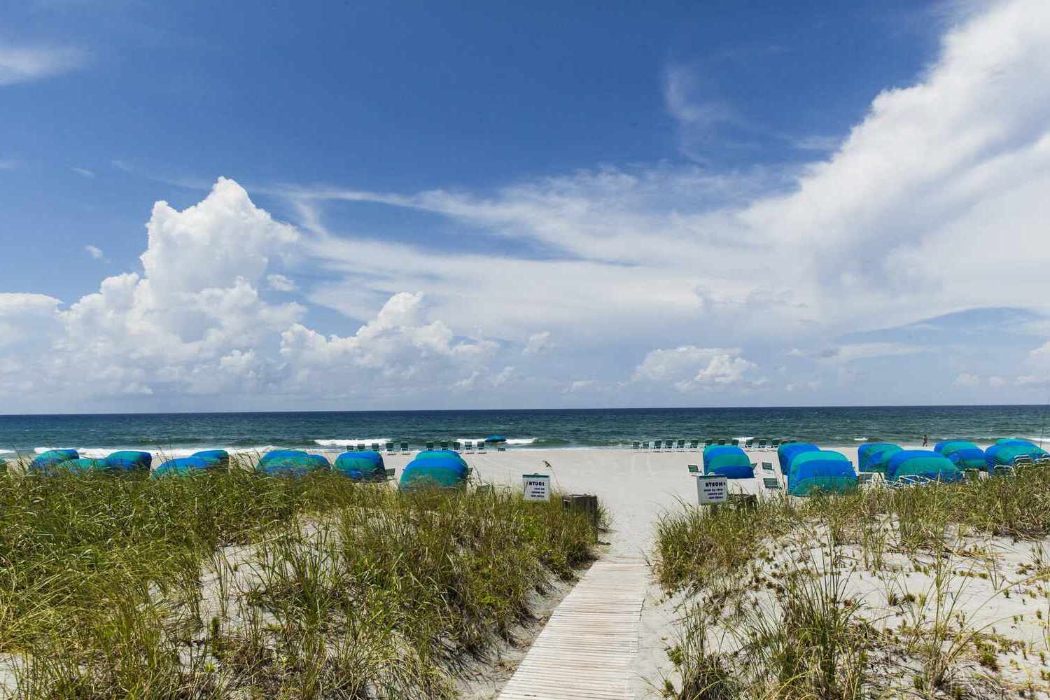 11-facts-about-environmental-initiatives-and-sustainability-in-delray-beach-florida