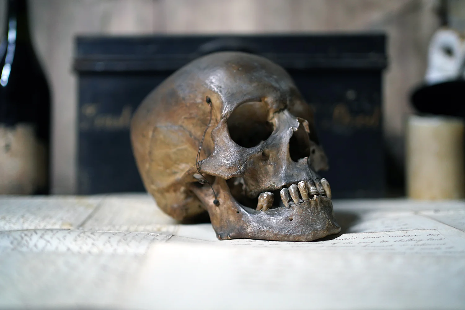 11-facts-about-human-skull