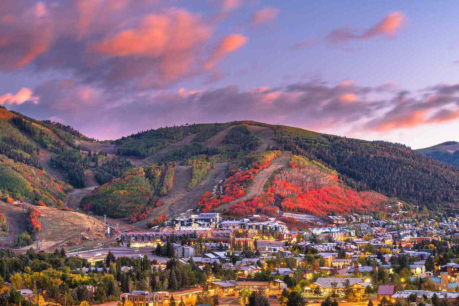 39 Facts about the movie Wheels on Meals