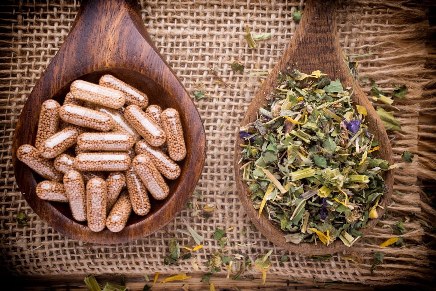 11-facts-you-must-know-about-herbal-medicines