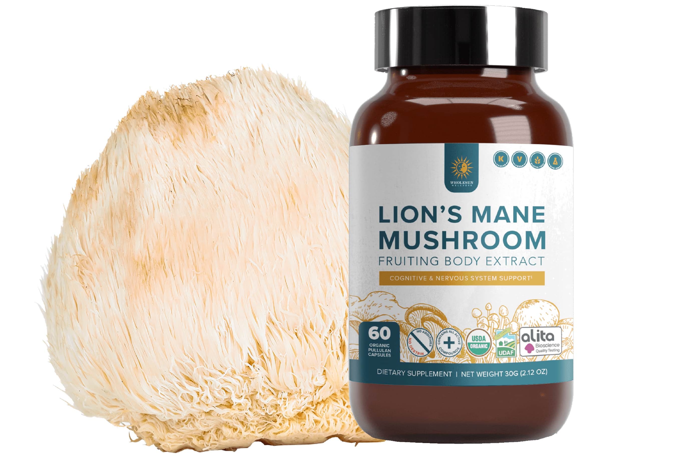 12-facts-about-lions-mane-supplement