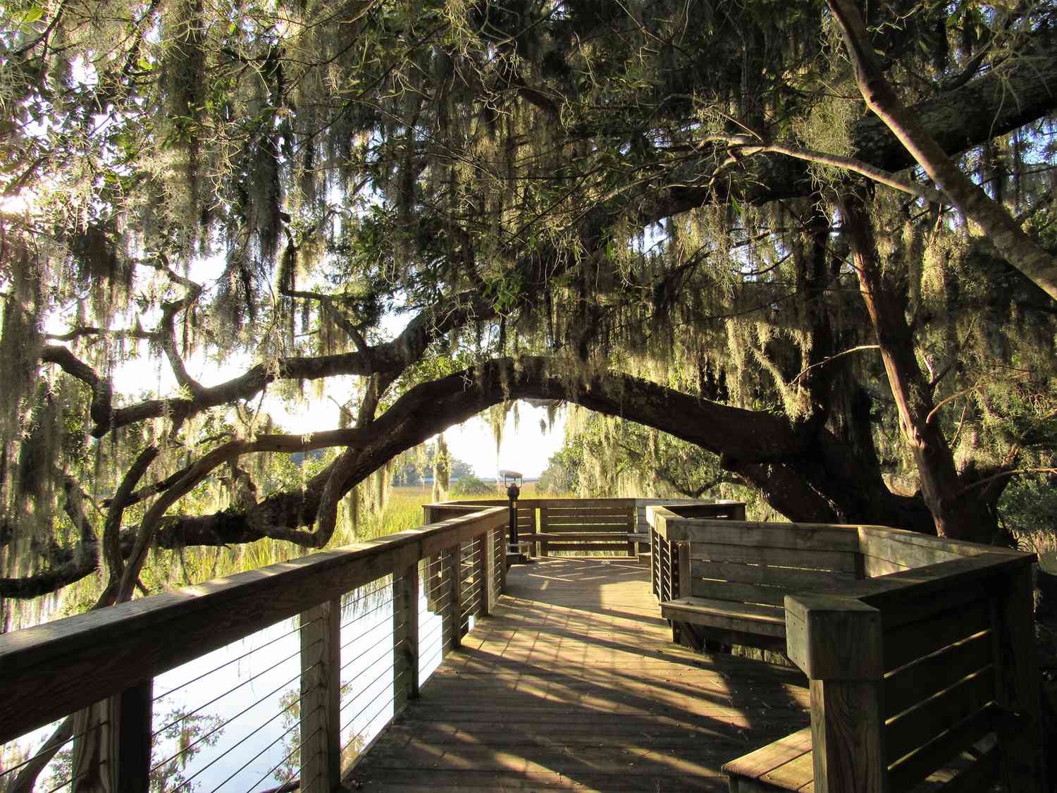 13 Facts About Local Wildlife And Natural Reserves In Hilton Head ...