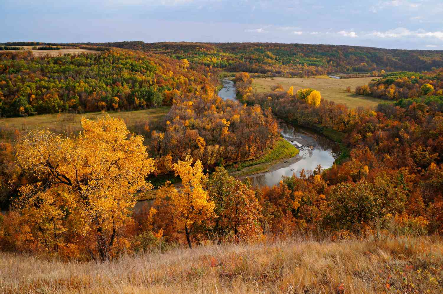 15-facts-about-local-wildlife-and-natural-reserves-in-fargo-north-dakota