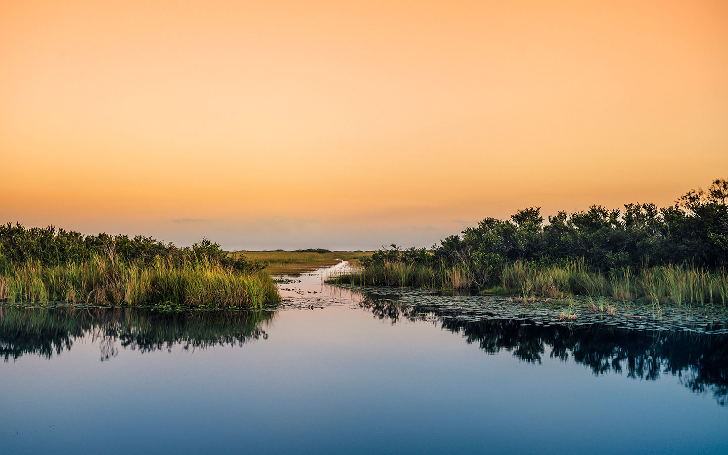 15-interesting-facts-about-the-florida-everglades