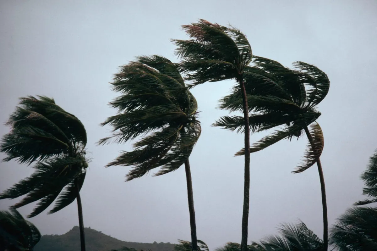 16-great-facts-about-winds