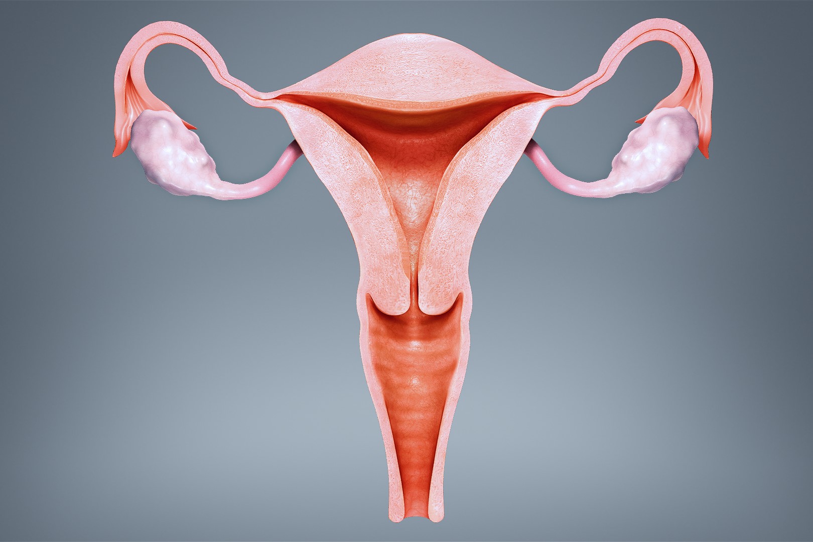 18-facts-about-the-uterus