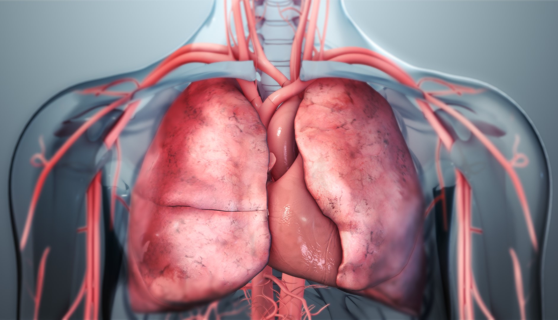 23-great-facts-about-lungs